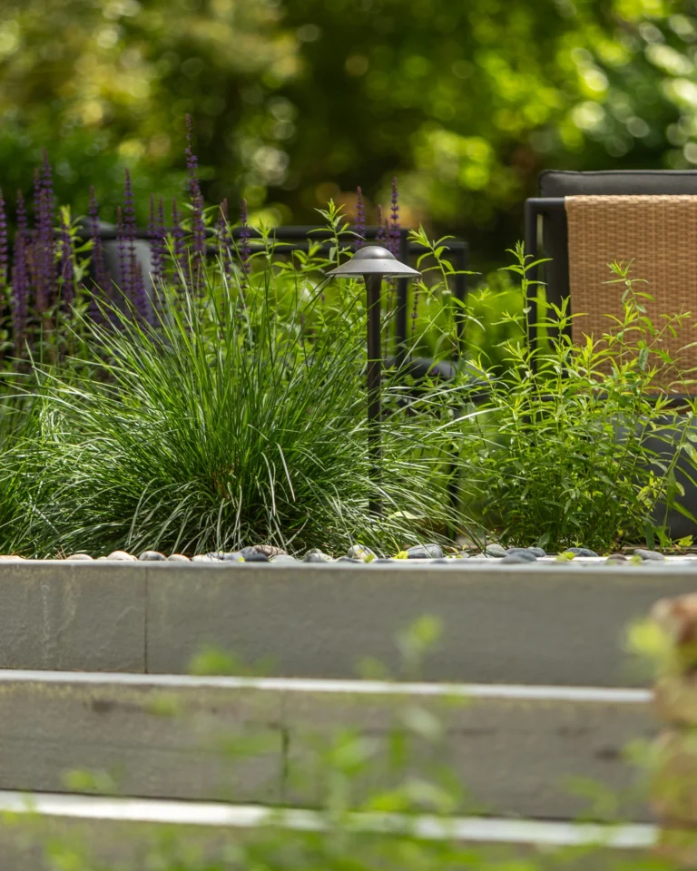 Native Planting with Landscape Light