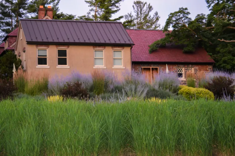 Pollinator Friendly Landscape Design in Penn Valley, PA
